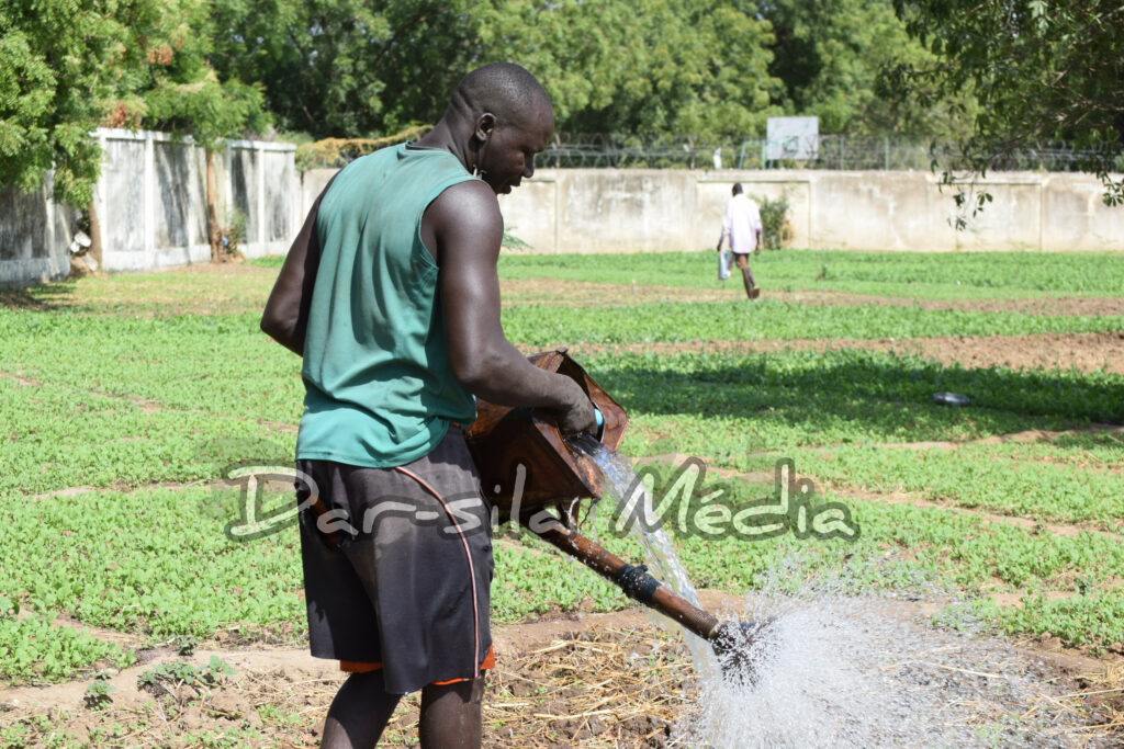 InShot_20251214_082751800