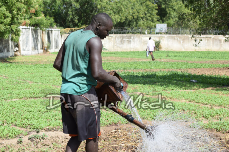 InShot_20251214_082751800